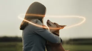 Why might my animal benefit from a healing session?